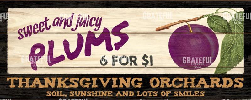 Thanksgiving Orchards - Plums