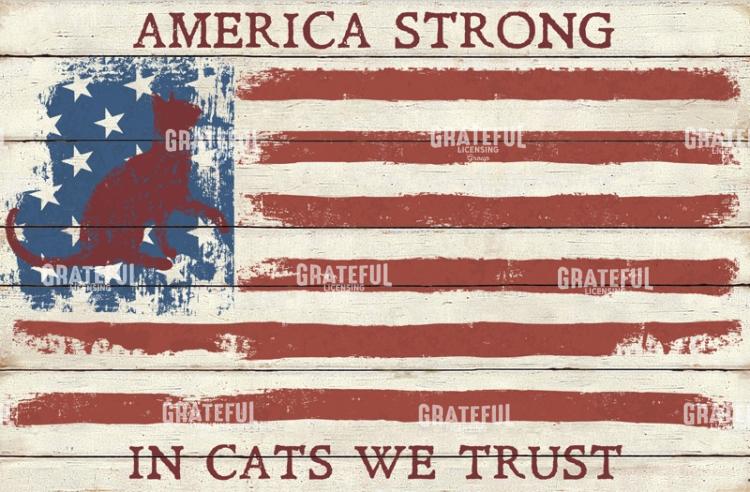 America Strong - Cats