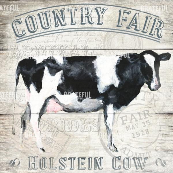 County Fair - Cow