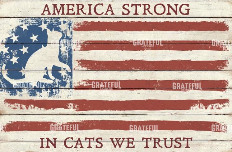 America Strong - Cats Reverse