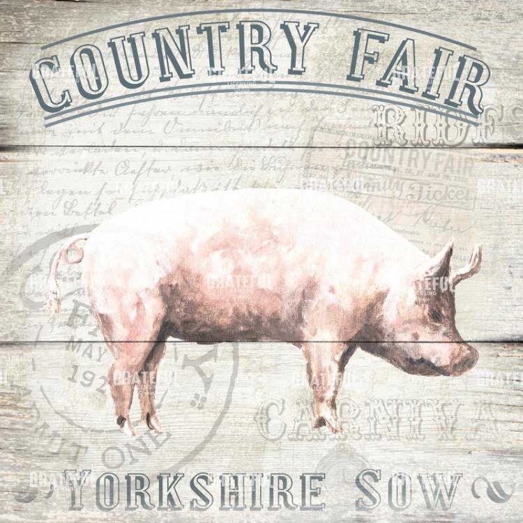 County Fair - Pig