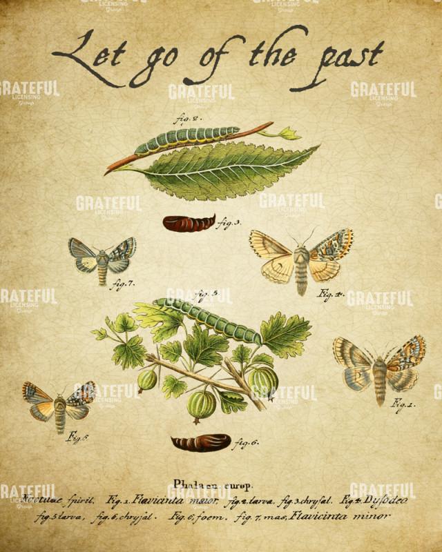 Embracing Change - Let Go