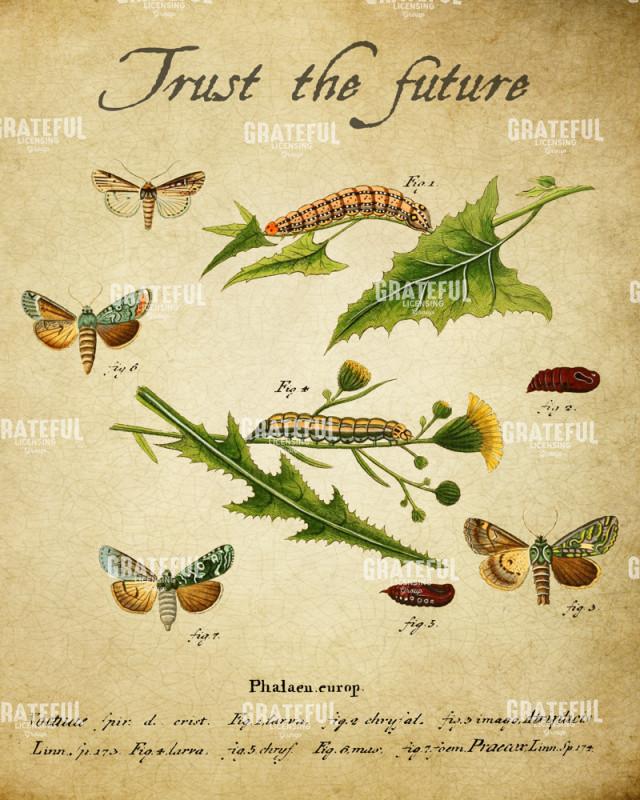 Embracing Change - Trust