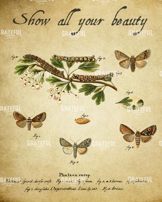 Embracing Change - Show All