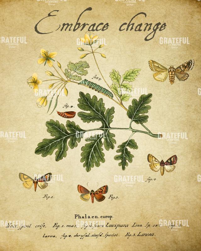 Embracing Change - Embrace