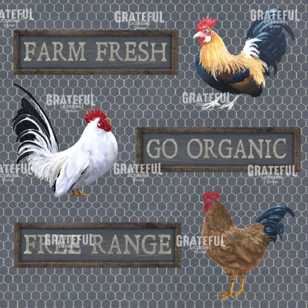 Feathered Friends 1