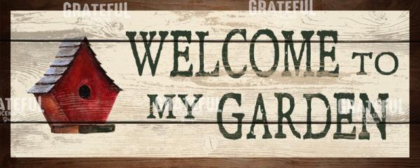 Welcome to my Garden