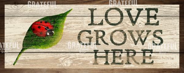 Love Grows Here