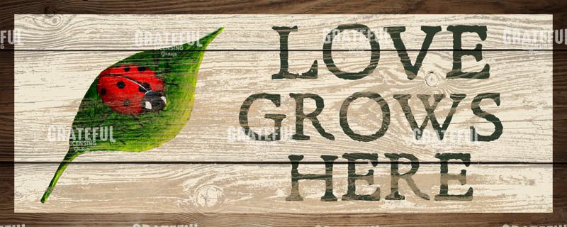 Love Grows Here