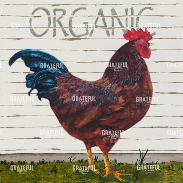 Organic