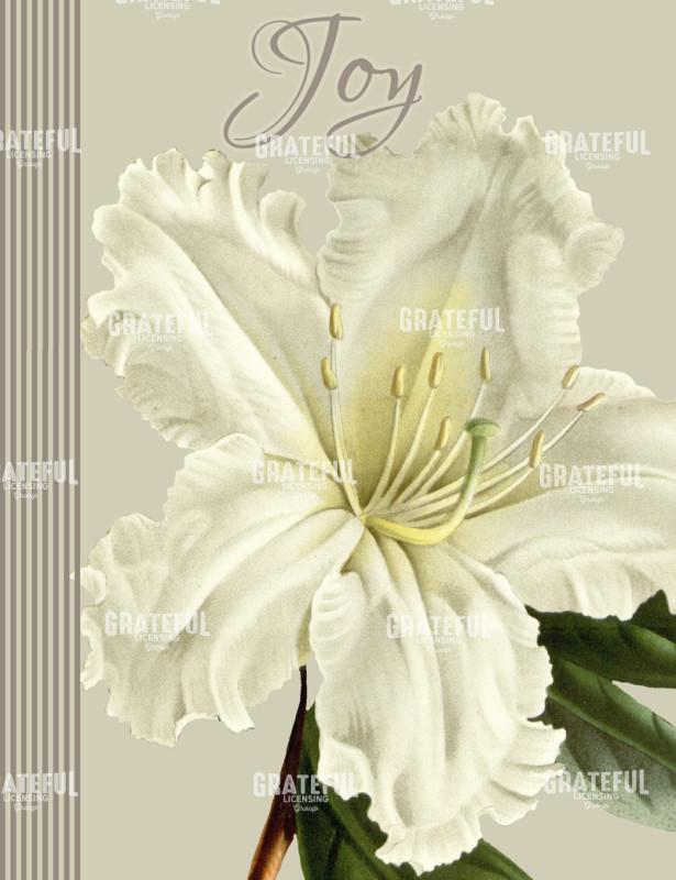 Alabaster Blossoms - Vertical 2