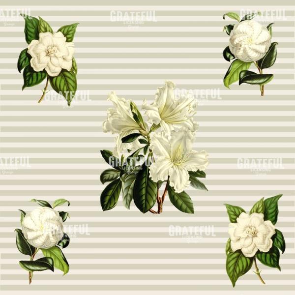 Alabaster Blossoms Pattern 1