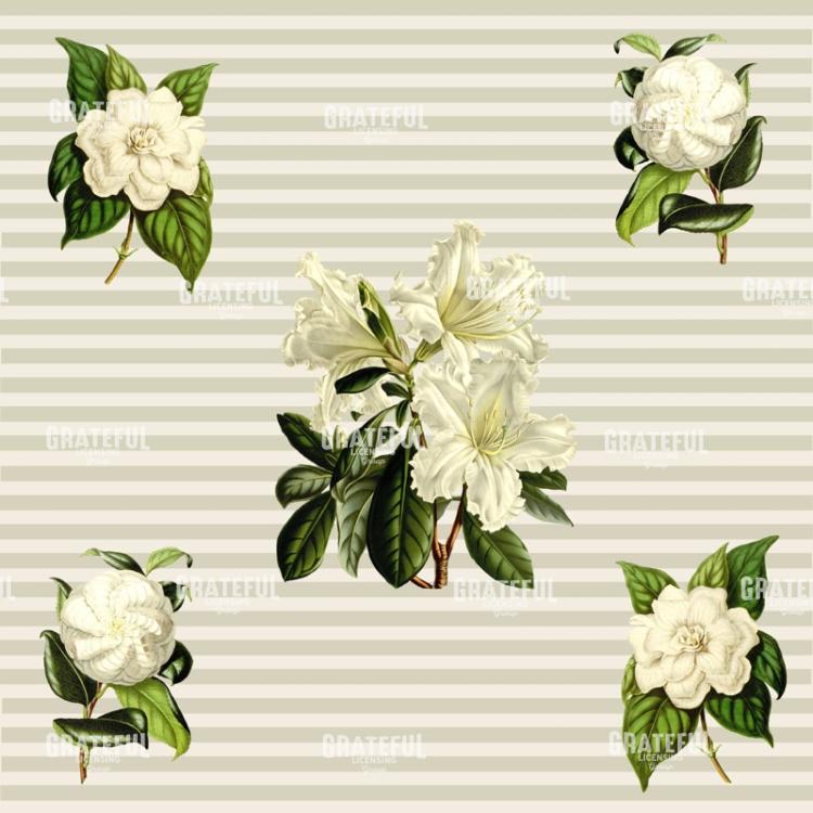 Alabaster Blossoms Pattern 1