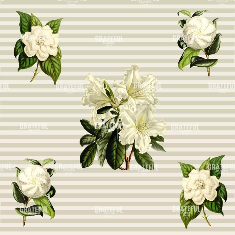 Alabaster Blossoms Pattern 1