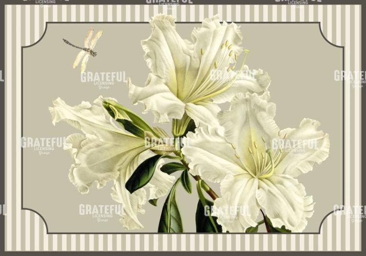 Alabaster Blossoms - Horizontal