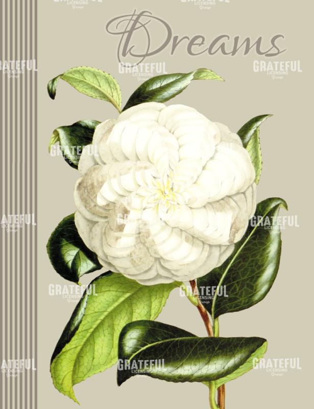 Alabaster Blossoms - Vertical