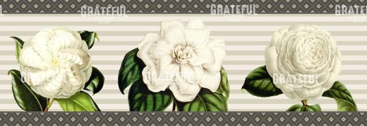 Alabaster Blossoms - Horizontal Panel