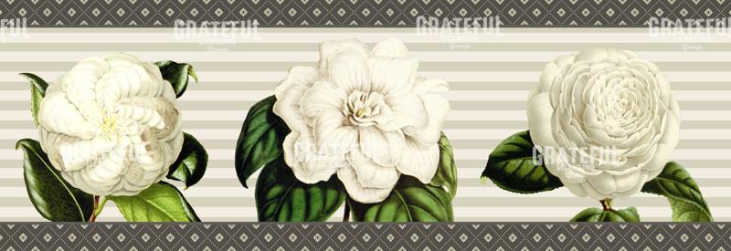 Alabaster Blossoms - Horizontal Panel