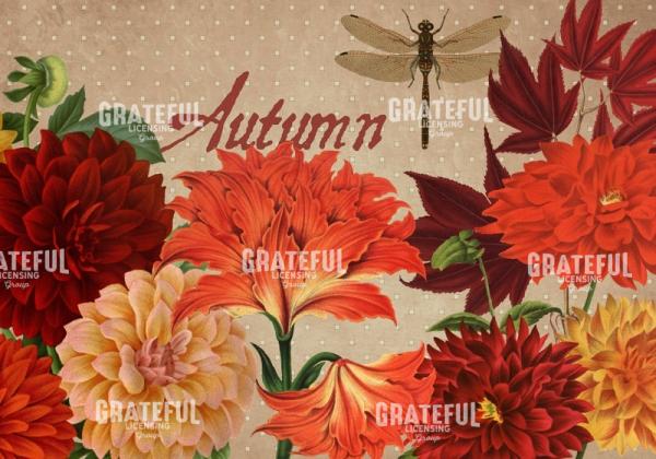 Autumn Flare - Horizontal