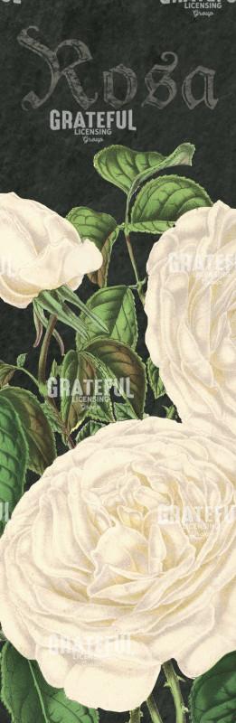 Bella Rosa F Vertical Panel.psd