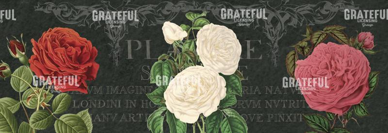 Bella Rosa - Horizontal Panel