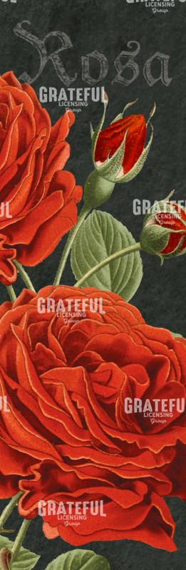 Bella Rosa - Vertical Panel 2