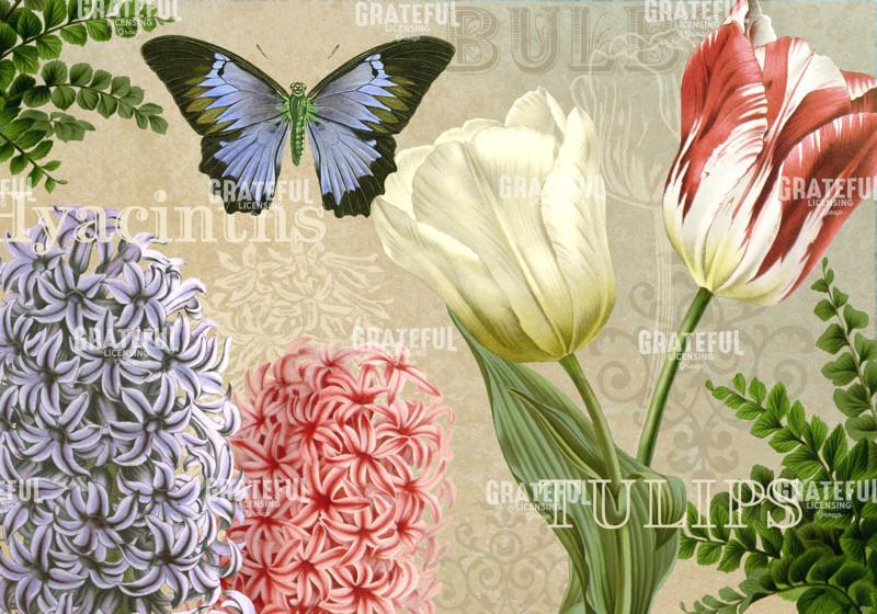 Best in Show - Horiztonal