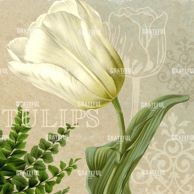 Best in Show - Square