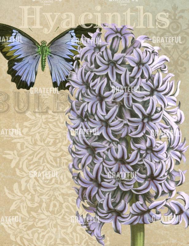 Best in Show - Vertical 2