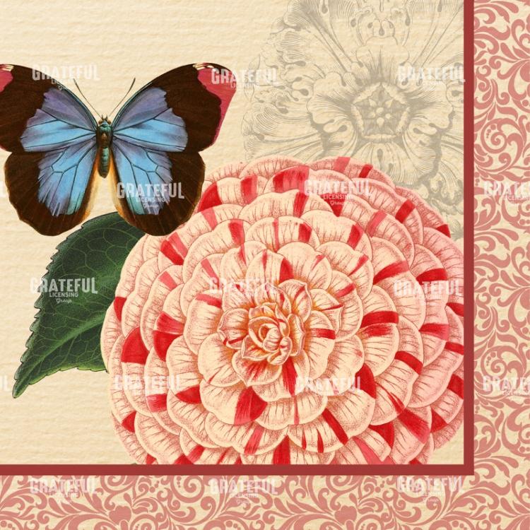 Blushing Camellias - Square