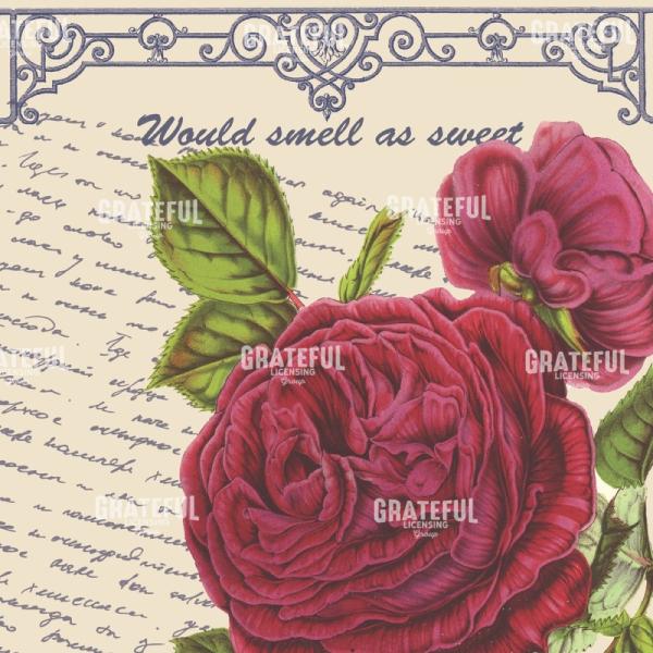 By Any Other Name Square - Pink Rose