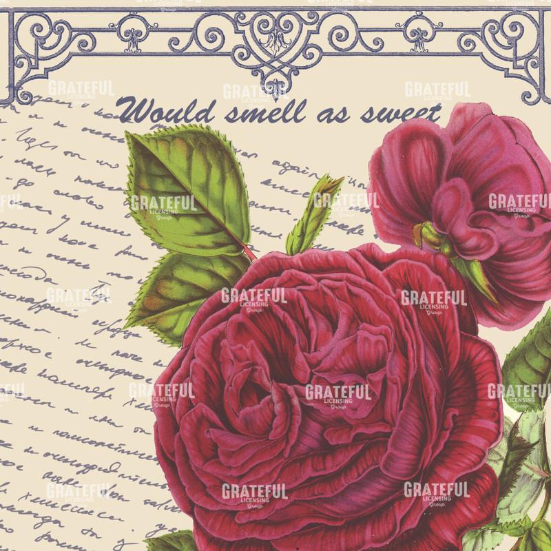 By Any Other Name Square - Pink Rose