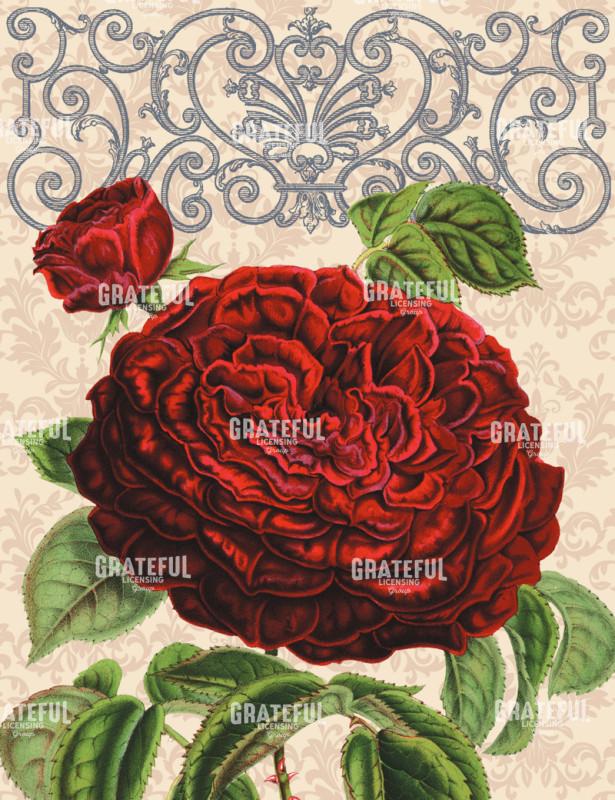 By Any Other Name - Vertical 2