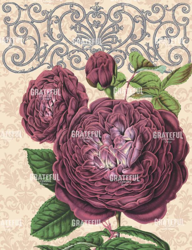 By Any Other Name - Vertical