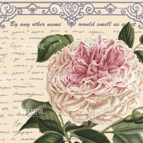 By Any Other Name - Square