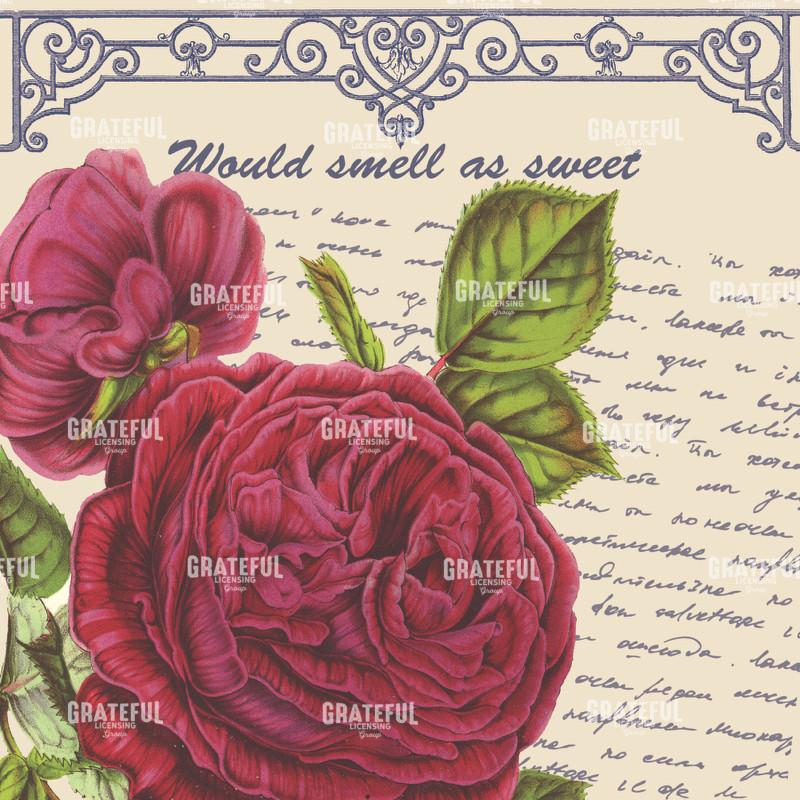 By Any Other Name Square - 2