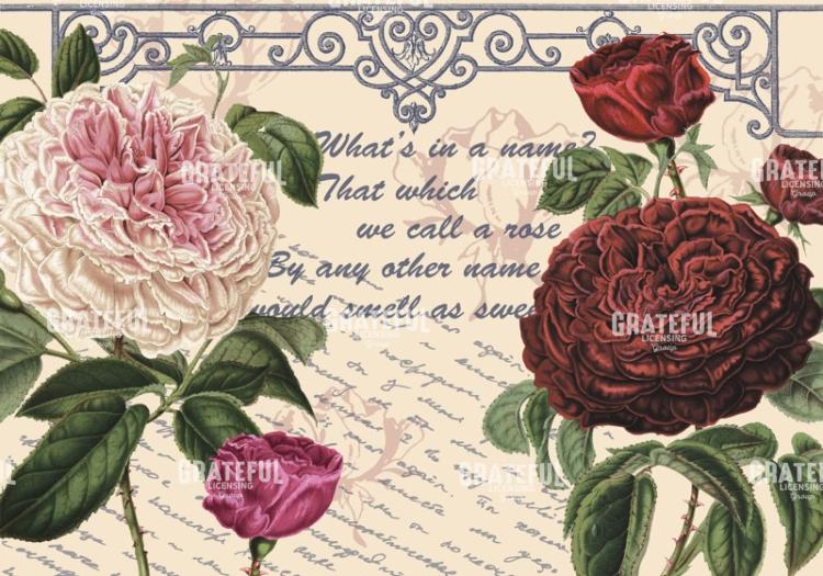 By Any Other Name - Horizontal