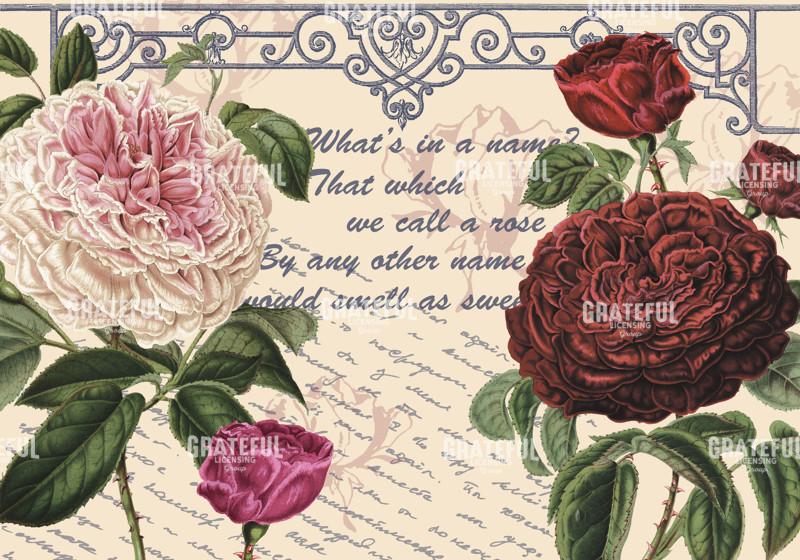 By Any Other Name - Horizontal