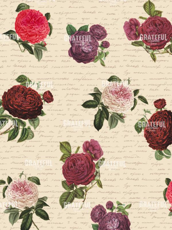 By Any Other Name - Roses with Script Tan