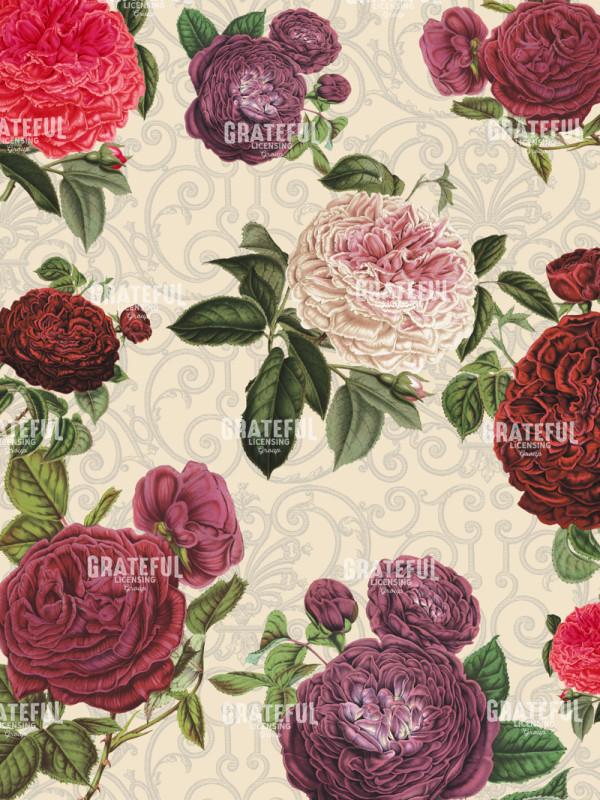 By Any Other Name - Roses with Filigree Blue