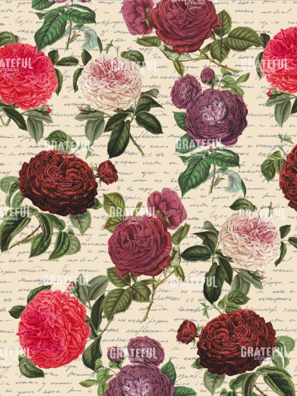 By Any Other Name - Roses with Script Blue