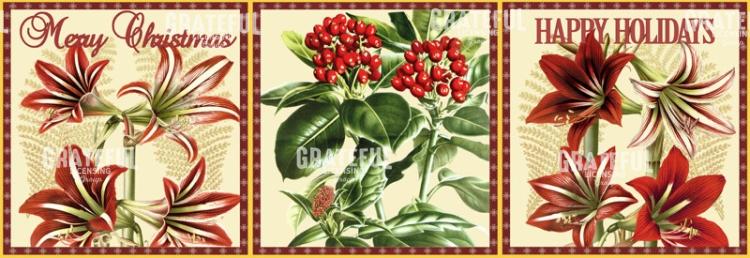 Christmas Amaryllis Horizontal Panel