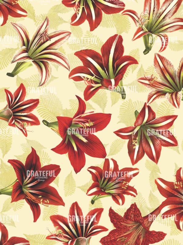 Christmas Amaryllis II Version 1