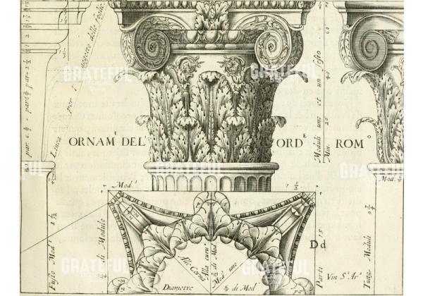 Ornamental 2