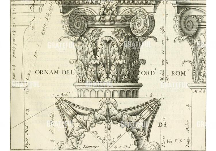 Ornamental 2