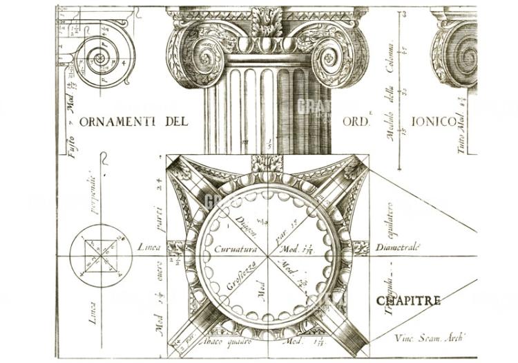 Ornamental 1