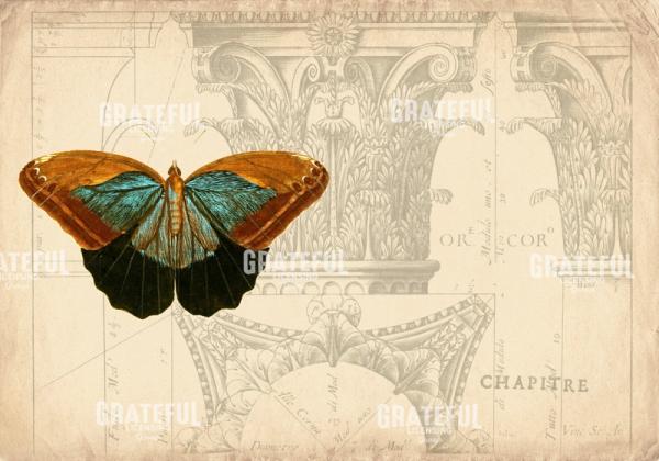 Classical Rendering 1