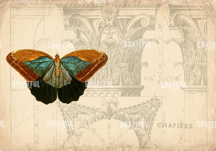 Classical Rendering 1