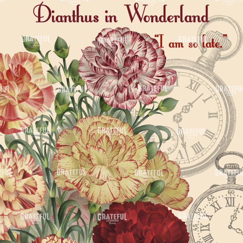 Diantus in Wonderland - Square 3