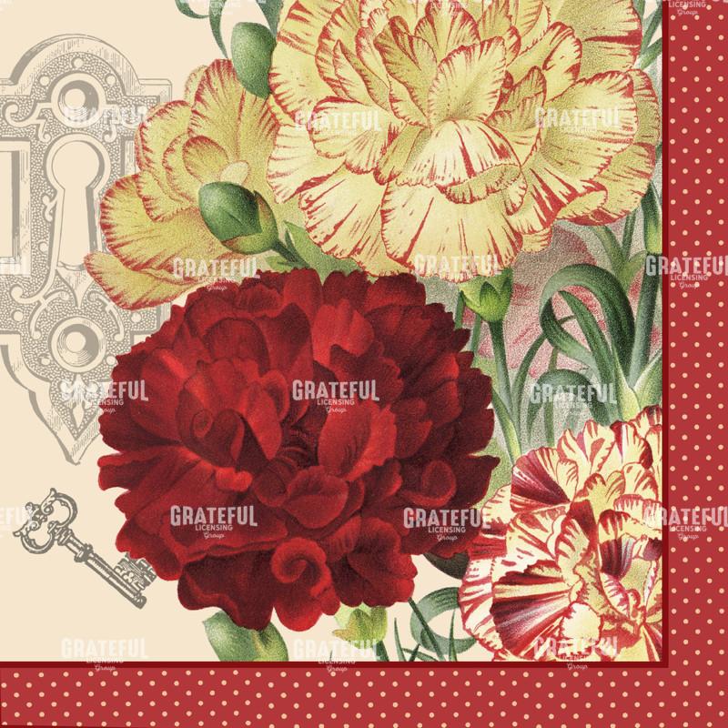 Diantus in Wonderland - Square 5